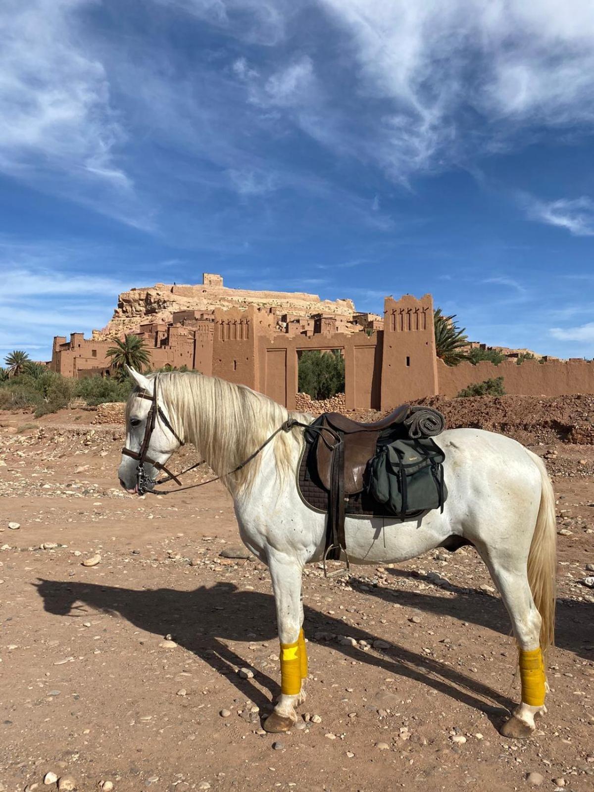Taman'Art Space Ait Benhaddou Esterno foto